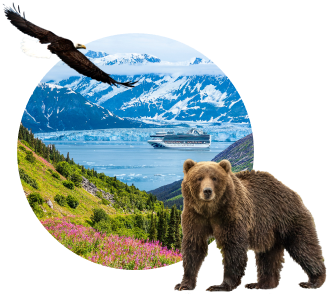 Sail with the highest-rated Alaska cruise line